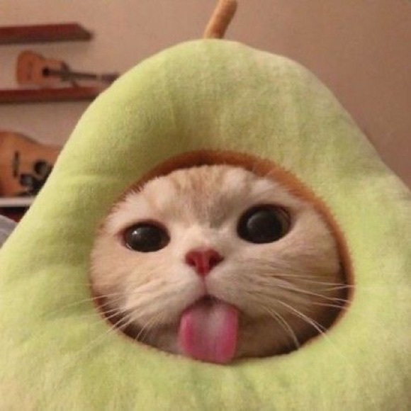 charlotteannk